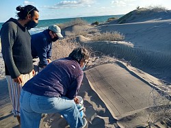 Identificando huellas en la duna